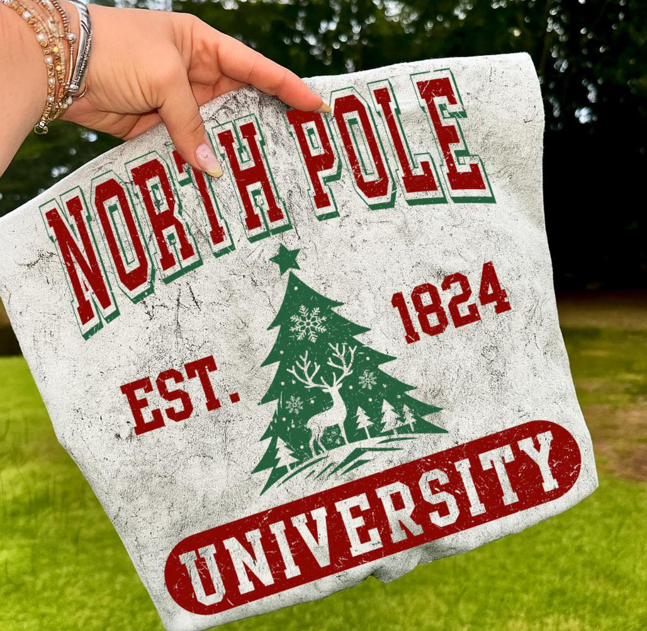 North Pole University