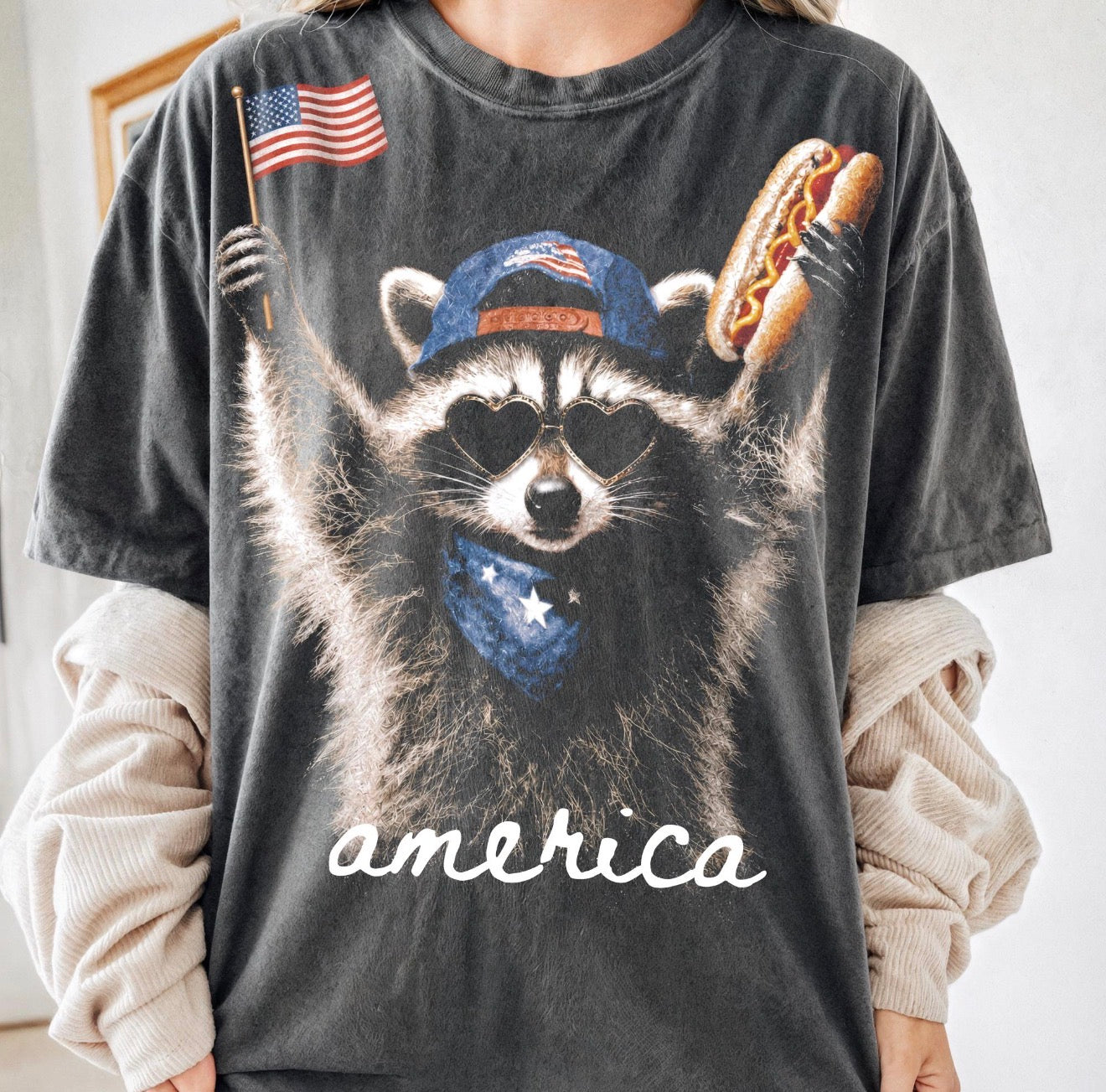 America Raccoon