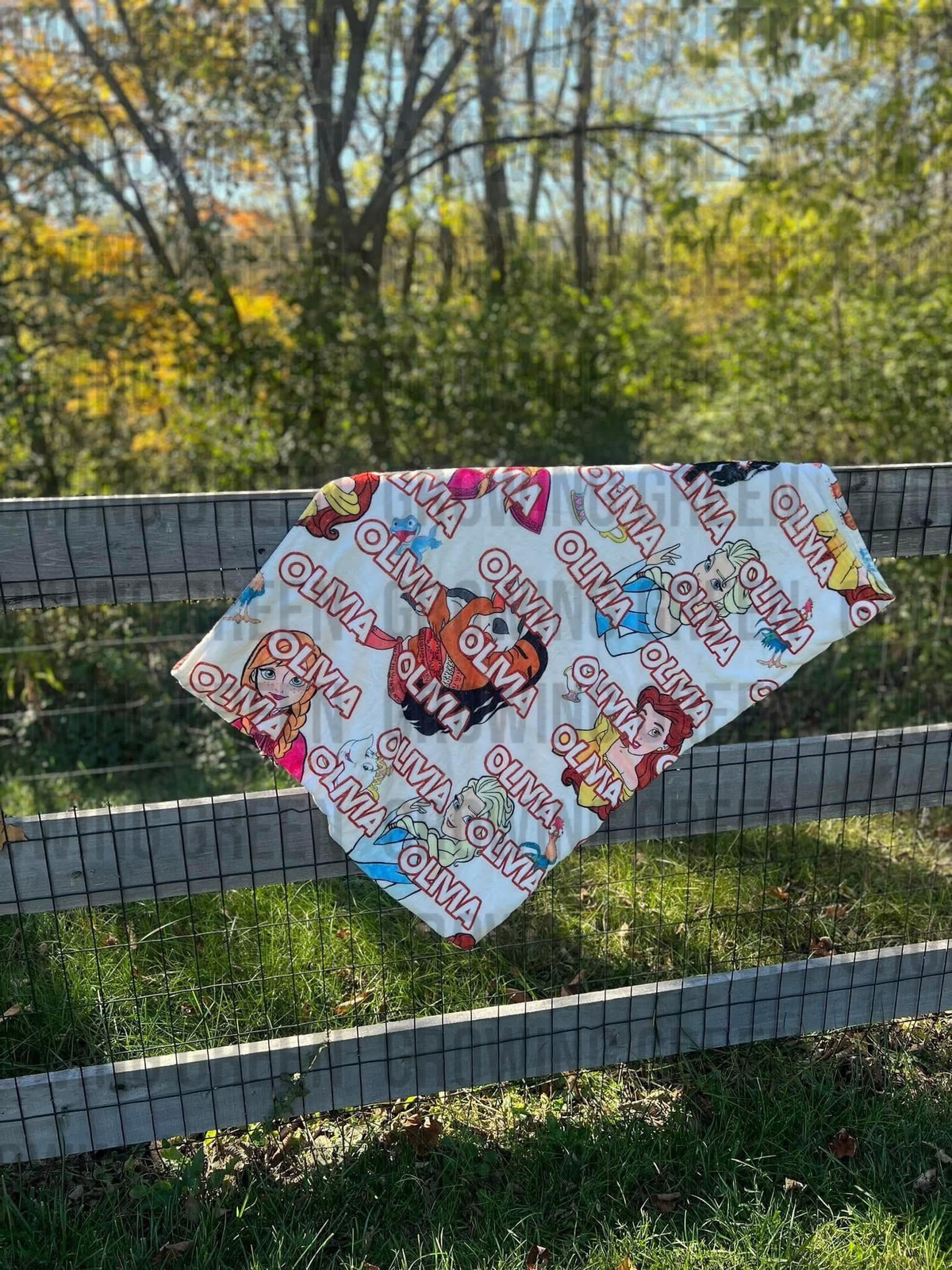 CozyCuddle Blanket PRE ORDER