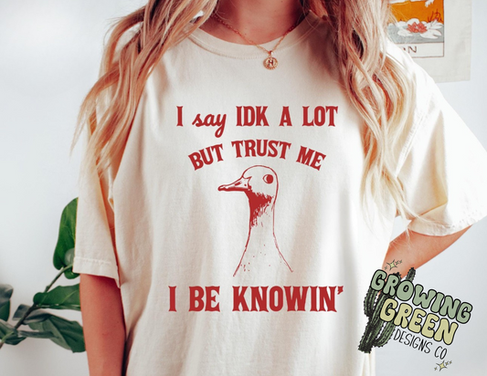 I say idk a lot but trust me I be knowin’