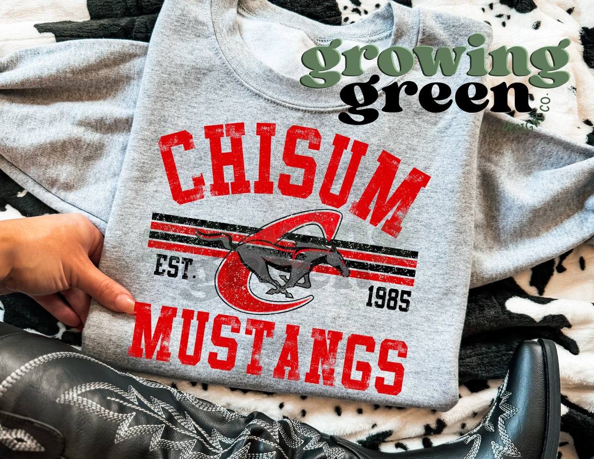 Distressed School Spirit - ANY MASCOT