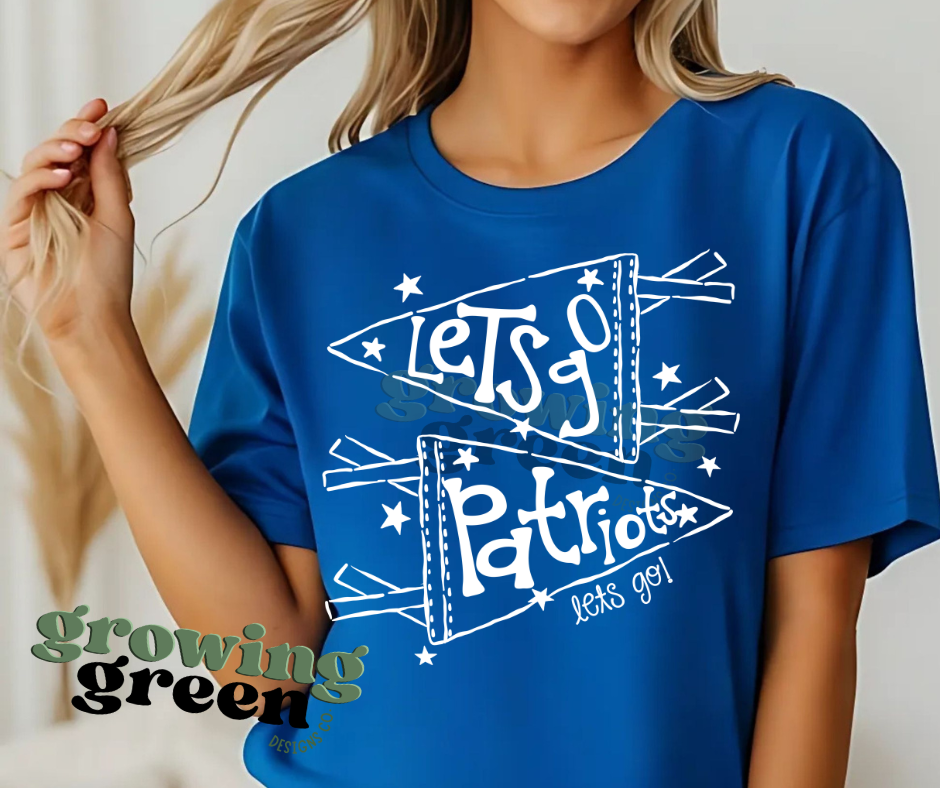 Let's Go Flag Mascot - ANY MASCOT