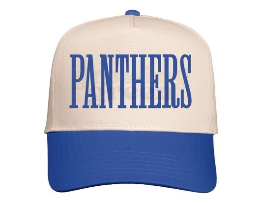 Panthers Puff Embroidered Cap