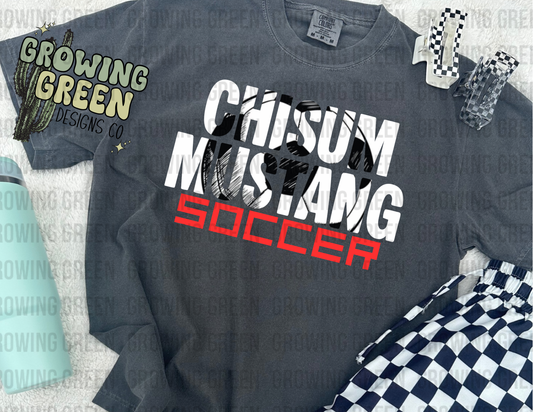 Distressed Spirit Soccer - ANY SCHOOL