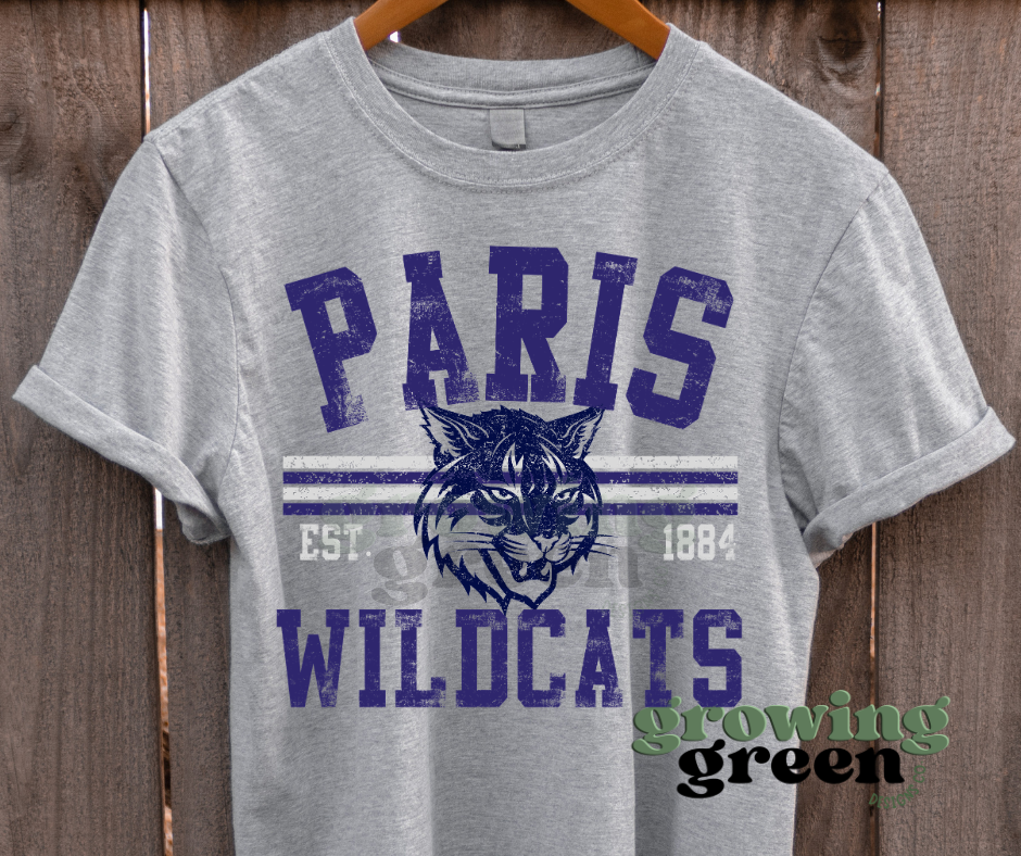 Distressed School Spirit - ANY MASCOT