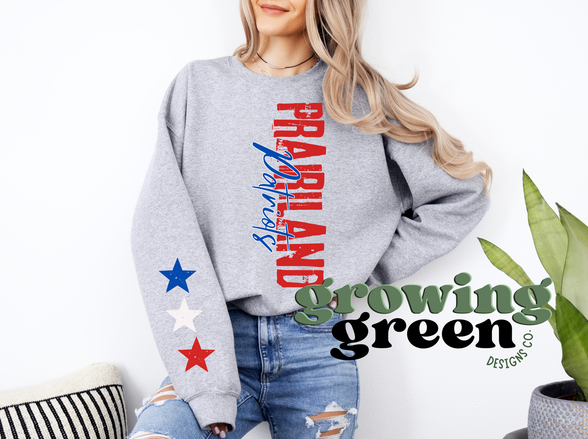 Spirit Distressed Vertical Sweatshirt - CUSTOM