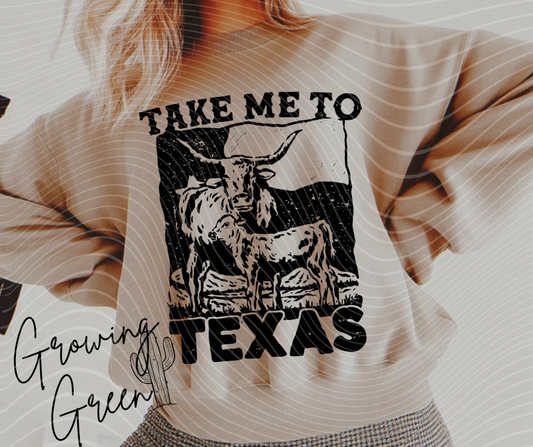 Take Me To Texas